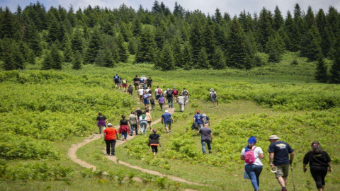 Ordu Yaylaları Ziyaretçilerini Bekliyor