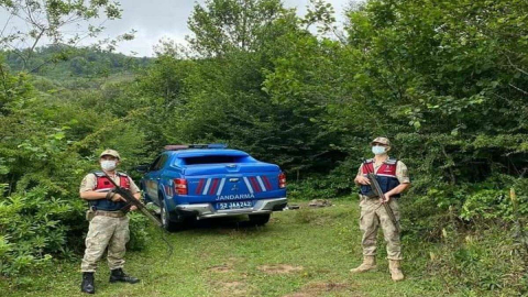 Ormanlarda Mehmetçik Nöbeti!