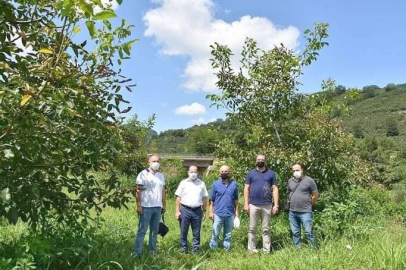 Tarım İşletmelerine Ziyaret