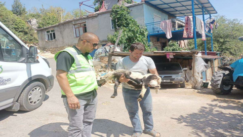 Gider Gitmez Müdahalelere Başlandı