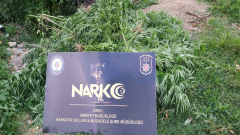 Narkotik Ekipleri Göz Açtırmıyor!