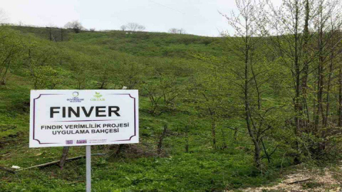 FINVER Projesi’nde Hasat Zamanı