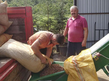 Fındık Üreticilerine Kurutma Desteği