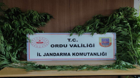 Uyuşturucu Operasyonu: 2 Gözaltı