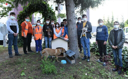 Sevimli Dostlar için de Bu Şehirde Hayat Var
