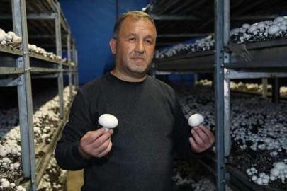 İlk Hasatını Topladı