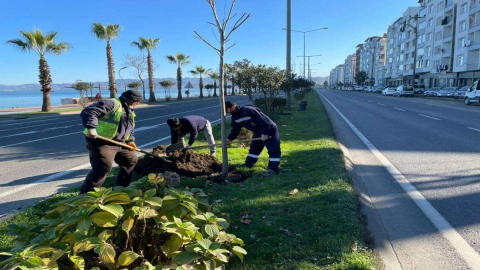 Ağaçlandırma Seferberliği Başlatıldı