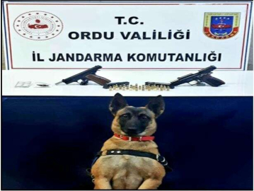 Gülyalı’da Uyuşturucu Operasyonu