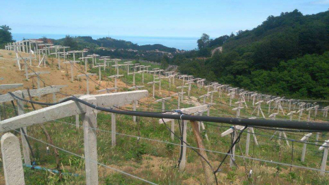 Başvurular 3 Ocak 2022 Tarihinde Başladı