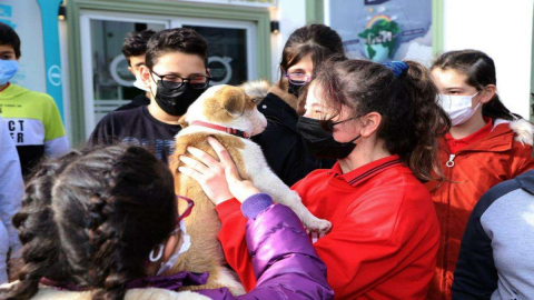 Can Dostlarla Keyifli Vakit