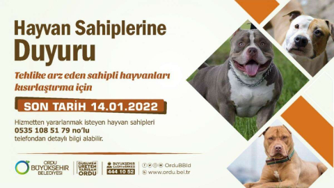 Kısırlaştırmaları Ücretsiz Yapılacak