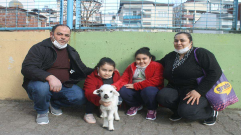 Evde Besledikleri Kuzuya Bebek Gibi Bakıyorlar