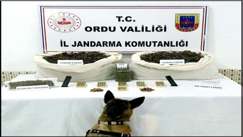 Fatsa’da Esrar ve Mermi Kaçakçılığı Operasyonu: 1 Gözaltı