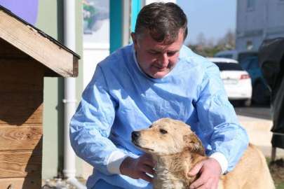 Hayvan Hastanesinin “Umut”u Oldu