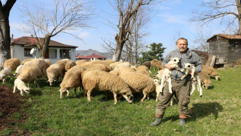 “Gelir Kapısı Oldu”