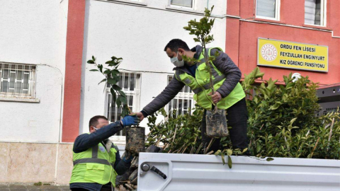 Okul Bahçeleri Yeşilleniyor