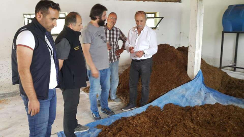 İstiridye Mantarını Kendi Kompostundan Üretecek