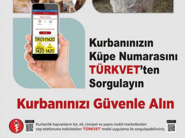 Kurbanlık Alırken Dikkat Edilmesi Gereken Hususlar