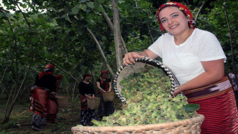Üreticiler ve İşçiler Bu Projeyi Sevdi