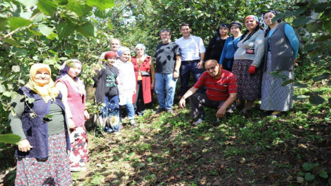 “Fındık Dalda Aklın İşçide Kalmasın”