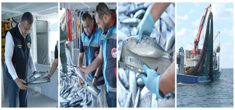 Su Ürünleri Denetimleri Aralıksız Devam Ediyor