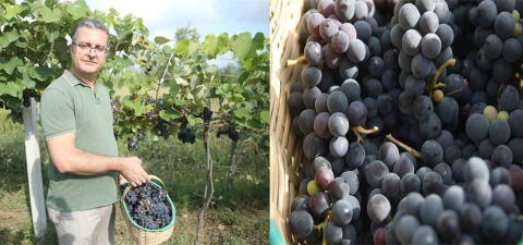 Ordu’da Ürün Çeşitliliği Artıyor