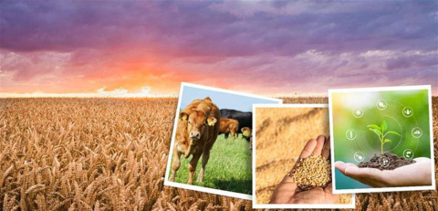 Tarımsal Destek Ödemeleri  Hesaplara Aktardı