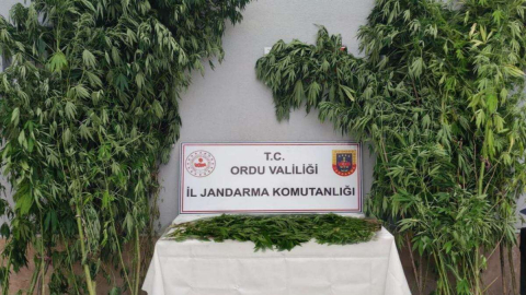 Jandarma Uyuşturucuya Geçit Vermiyor