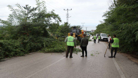 Ağaç Budama Makinası  İle Çalışmalar Hızlı İlerliyor