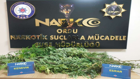 Narkotik Ekiplerden Uyuşturucu Operasyonu:1 Gözaltı