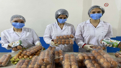 BAE’nin Yumurtaları Ordu’dan