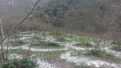 DOĞRU GÜBRE NASIL VE NE ZAMAN ATILIR?