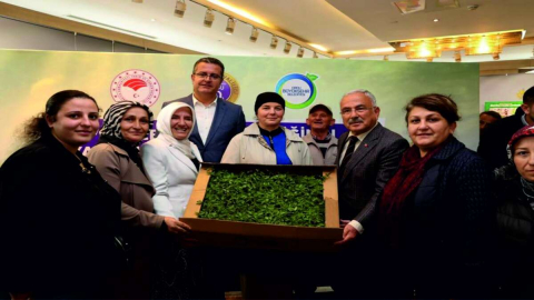 ekonomiye 29 milyon lira katkı