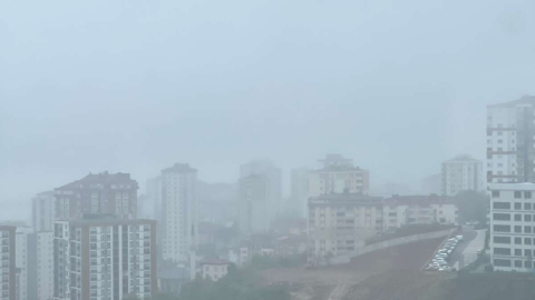Fatsa sis altında