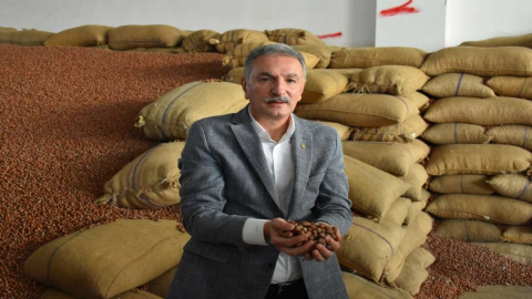 GÜNDAL, “TMO YENİ SEZONDA FINDIK ALIMI YAPACAK”