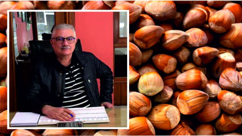FINDIK PİYASASINDAKİ DALGALANMA DEVAM EDİYOR