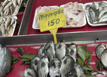 YAZIN VAZGEÇİLMEZ BALIĞI MAVRİŞGİL TEZGAHLARDA