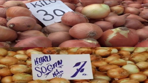 “SOĞAN SİYASET MALZEMESİ YAPILDI”