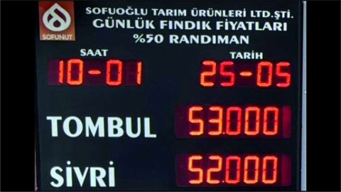FINDIKTA UMUTLAR TÜKENİYOR MU