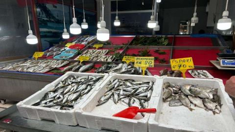 FATSA’DA BALIK TEZGAHLARI ŞAŞIRTTI