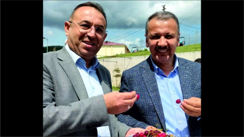Kiraz Başkana Kiraz İkramı