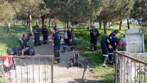 Mezarlıklarda Aklınız Kalmasın