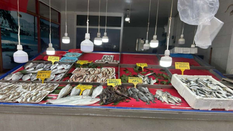 Yaz geldi balık fiyatları düştü
