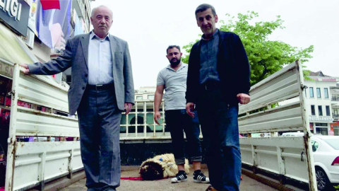 Erdoğan İçin Adak Kestiler