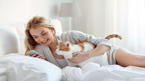 Evde kedi köpek besleyenler dikkat