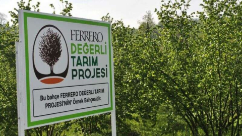 FERRERO FINDIĞI ORDU’DA DEĞERLENDİRECEK