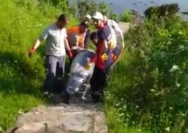 BİR YUNUS BALIĞI ÖLÜSÜ DAHA KARAYA VURDU