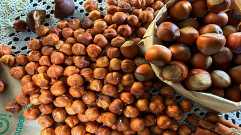 Fındık ihracatından 1,4 milyar doları aşkın gelir