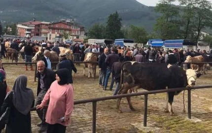 KURBAN PAZARLARI CANLANDI