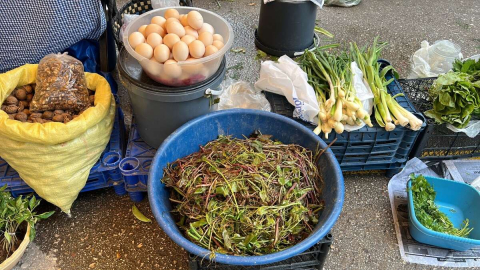 Melocan 100 liradan 35 liraya düştü